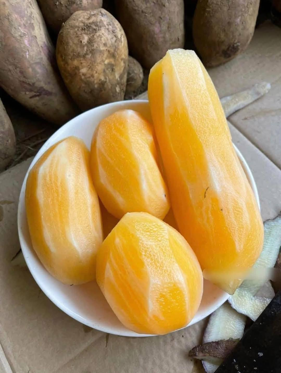 Sâm đất - Món quà từ lòng đất ăn giòn ngon lại mát, để càng lâu càng ngọt- Ảnh 6.