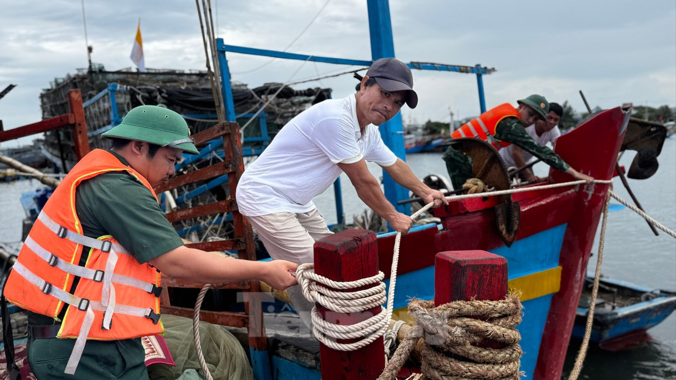 Huế, Đà Nẵng di dời dân tránh bão số 10; người dân Lý Sơn vội vã di chuyển lồng bè- Ảnh 9.
