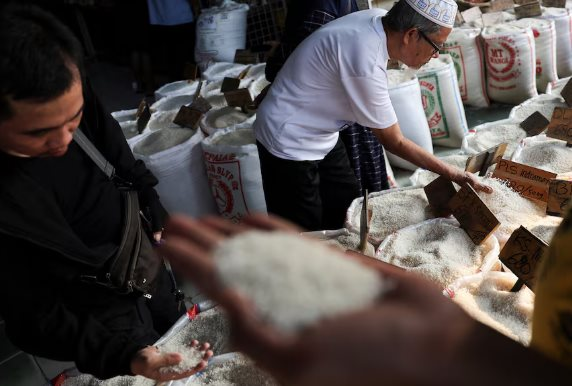Buồn của quốc gia Đông Nam Á là 'khách ruột' của gạo Việt: Người dân bàng hoàng vì giá đắt đỏ, nguồn cung gạo chất lượng cao khan hiếm- Ảnh 1.