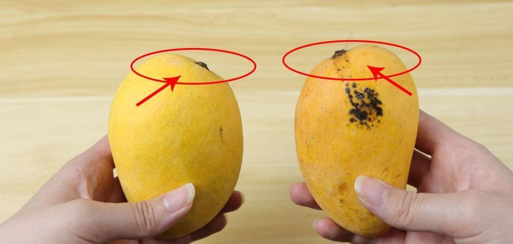 Mua xoài, liếc mắt với 5 mẹo này là biết ngay quả ngon hay quả ủng- Ảnh 1.