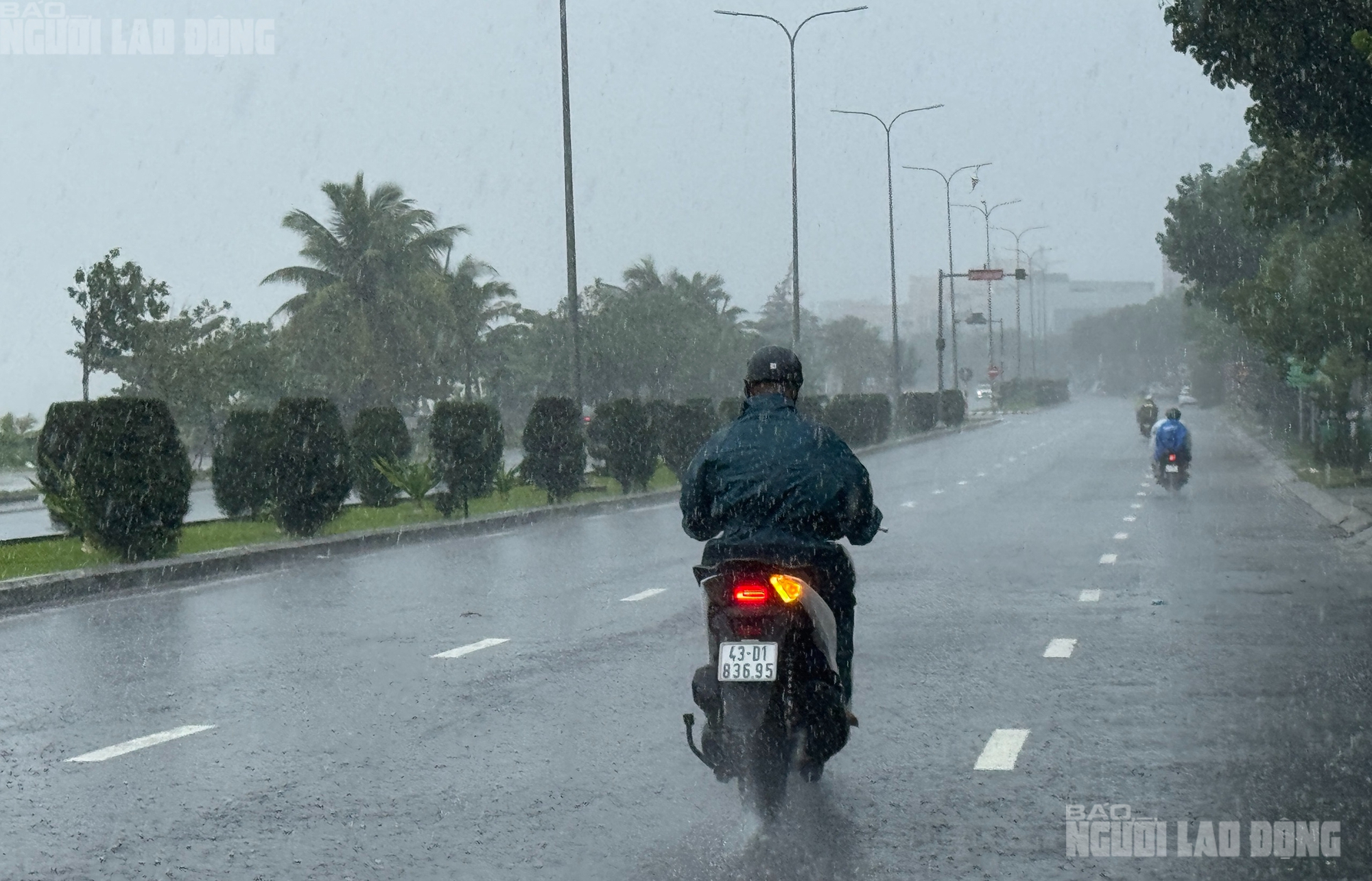 Đà Nẵng: Mưa lớn từng cơn do ảnh hưởng bão số 10 Bualoi, gió rít nhẹ- Ảnh 7.