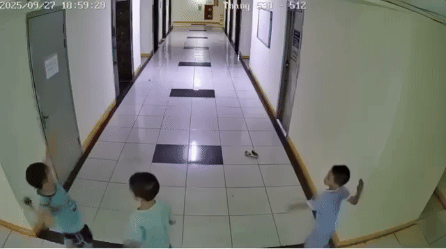 Bé trai ném dép làm hỏng thang máy chung cư ở Hà Nội: Gia đình lên tiếng về việc bồi thường- Ảnh 1.