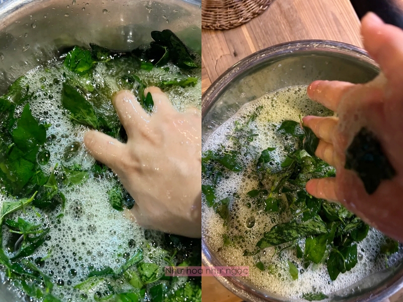 Nghe lời bà ngoại, tôi thử gội đầu bằng lá dâm bụt và phát hiện ra đây chính là Nghe lời bà ngoại, tôi thử gội đầu bằng lá dâm bụt và phát hiện ra đây chính là
