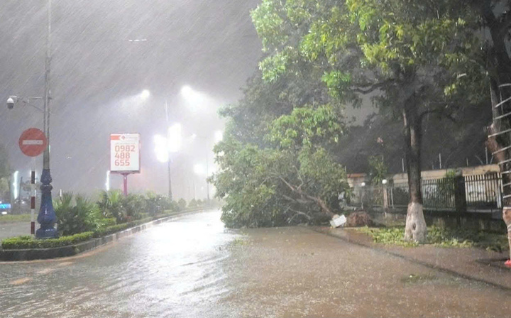 Cột điện gãy la liệt, mái tôn bay tứ tán, Hà Tĩnh - Quảng Trị ngổn ngang sau bão- Ảnh 11.