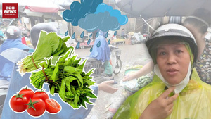 Rau xanh rẻ bất ngờ, siêu thị hàng hóa dồi dào chống bão Bualoi- Ảnh 3.