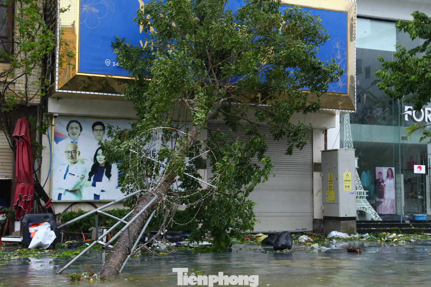 Nghệ An tan hoang sau bão- Ảnh 12.