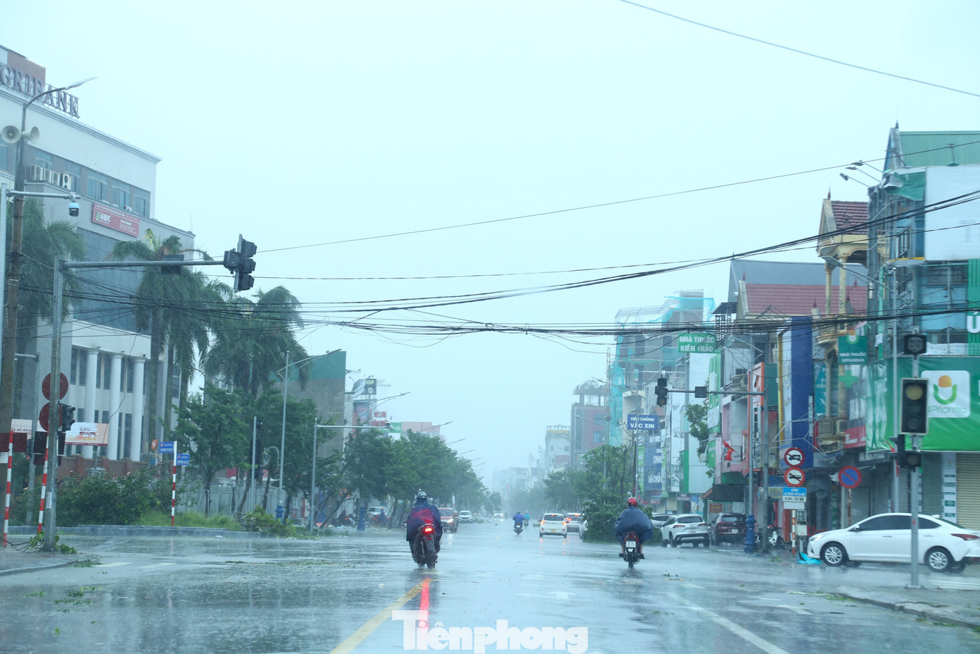 Nghệ An tan hoang sau bão- Ảnh 15.