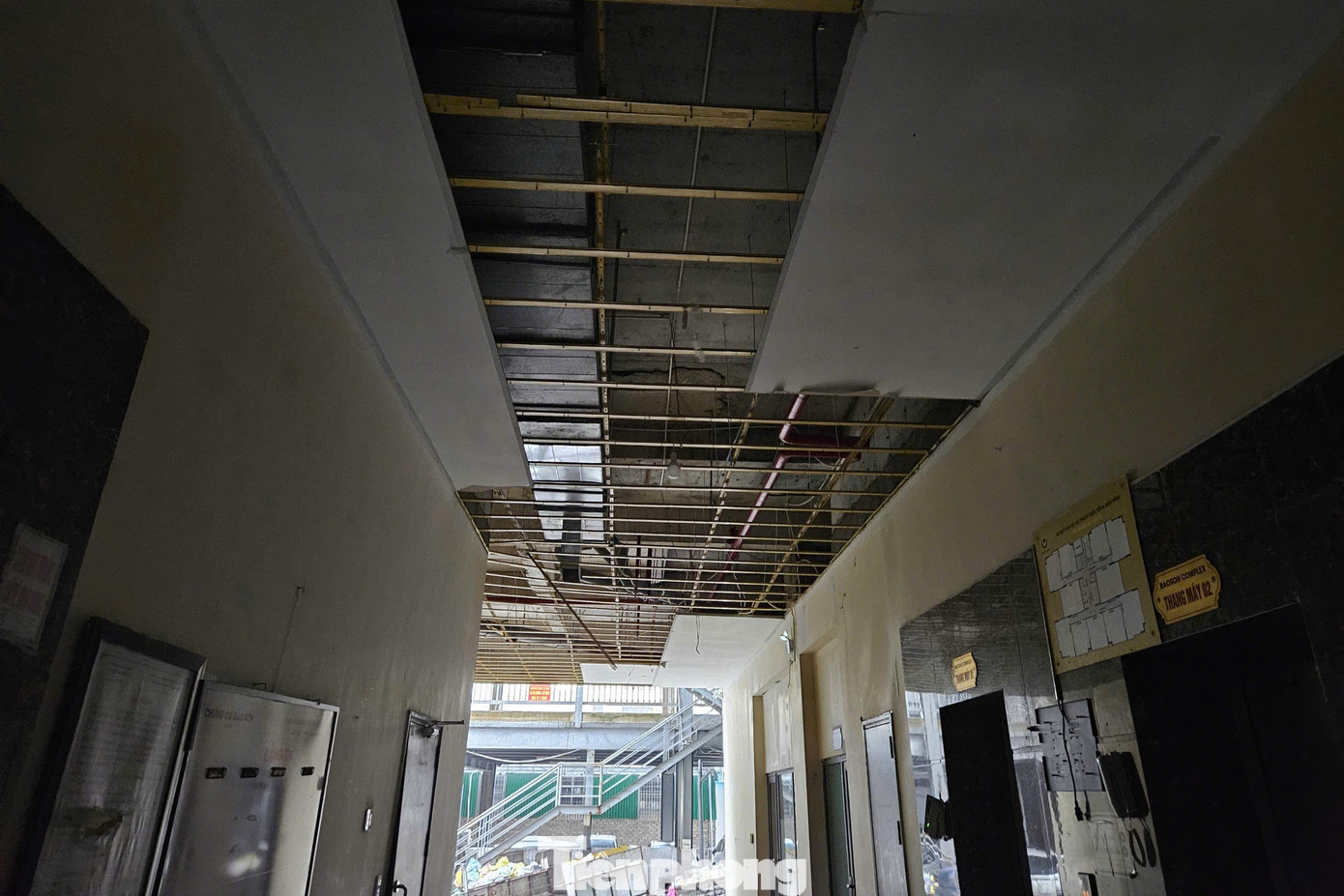 Nghệ An tan hoang sau bão- Ảnh 4.