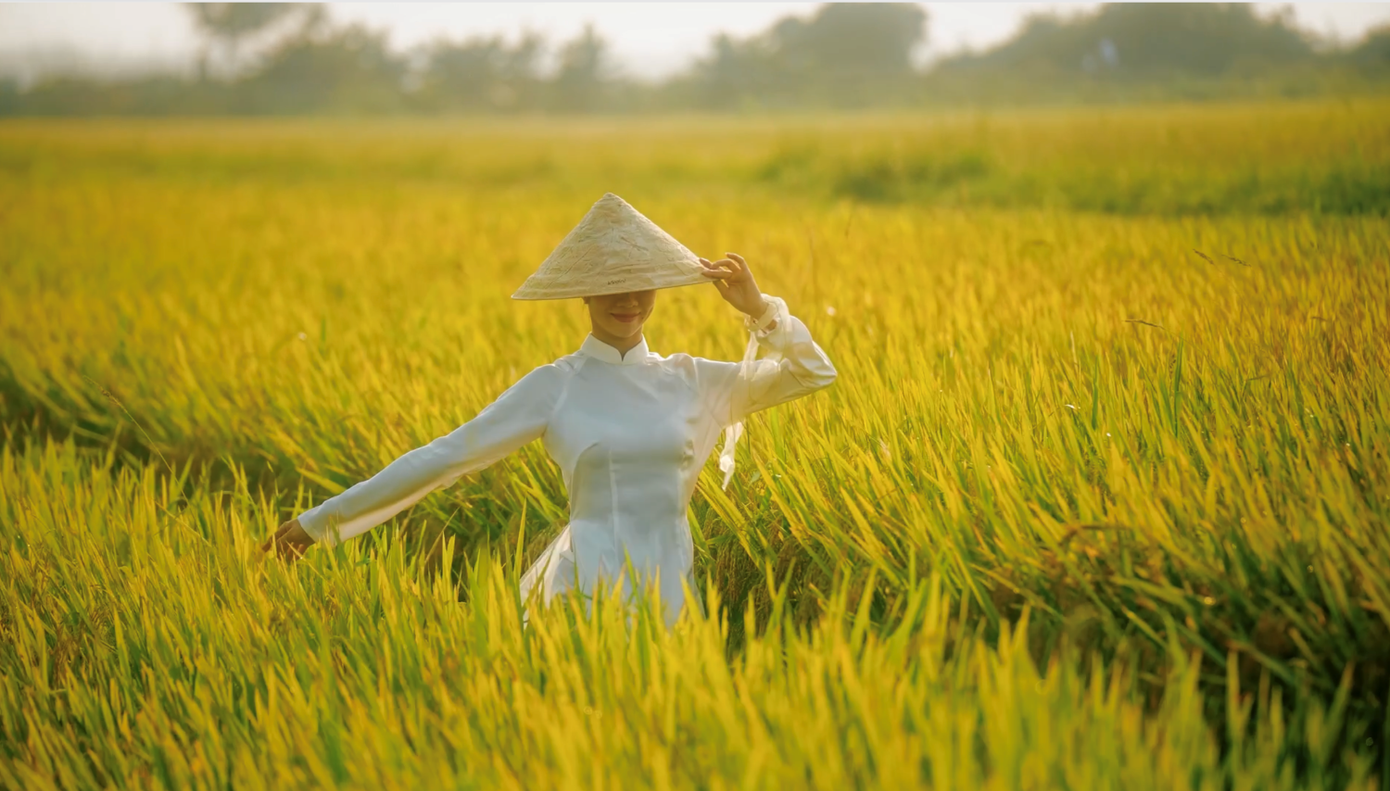 Điều đặc biệt của ca khúc Tùng Dương thể hiện tại Lễ kỷ niệm 2/9- Ảnh 1.