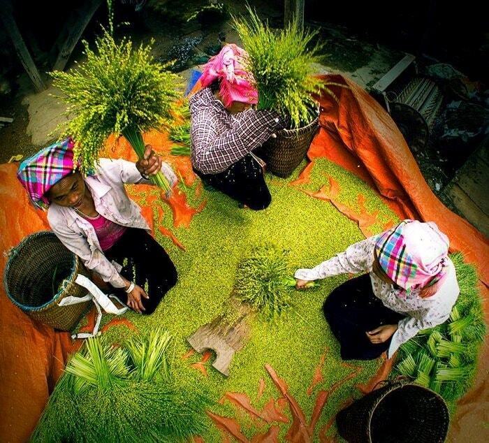 Tên gọi Mù Cang Chải có ý nghĩa gì?- Ảnh 4.