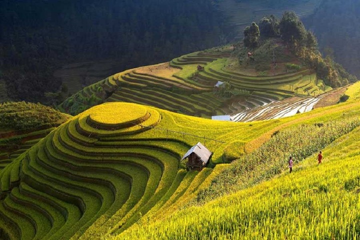 Tên gọi Mù Cang Chải có ý nghĩa gì?- Ảnh 5.