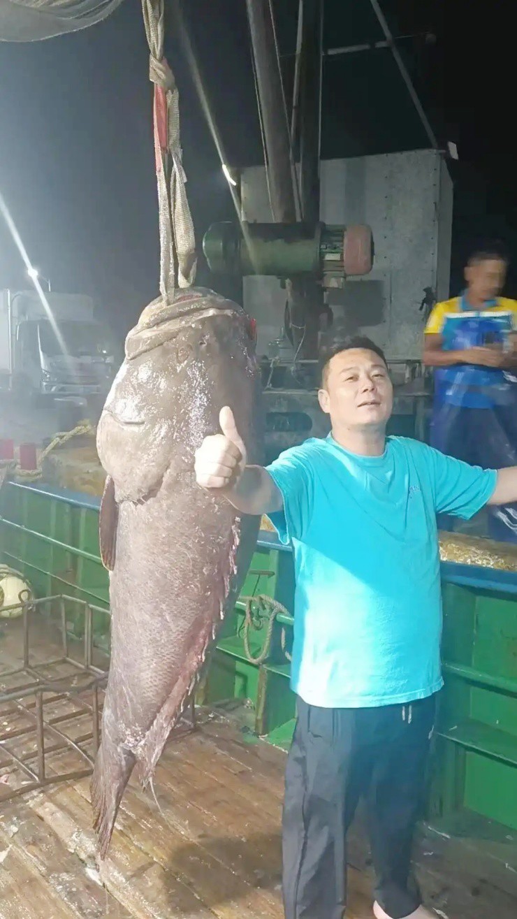 Người đàn ông bắt được "quái ngư" dài 1,8m, bán vội có ngay gần 130 triệu đồng- Ảnh 1.