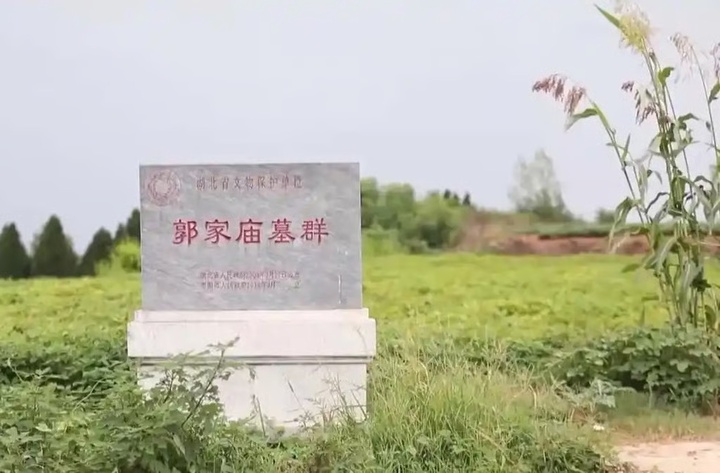 'Nghiên cứu' tiểu thuyết trộm mộ, người đàn ông đào được 20 báu vật trong mộ cổ- Ảnh 4. 'Nghiên cứu' tiểu thuyết trộm mộ, người đàn ông đào được 20 báu vật trong mộ cổ- Ảnh 4.