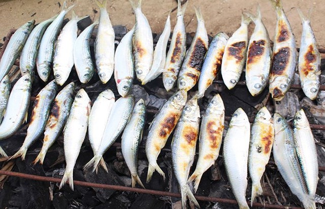 Loại c&aacute; được v&iacute; như "thực phẩm trường thọ", rẻ hơn c&aacute; hồi nhưng bổ kh&ocirc;ng k&eacute;m: H&agrave;ng c&oacute; sẵn quanh năm- Ảnh 5.