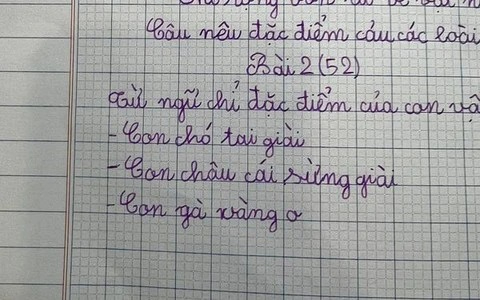 Học sinh tiểu học tả con gà, sáng tạo ra 1 từ khiến nhiều người tra từ điển muốn ngất vẫn không ra đáp án- Ảnh 1.