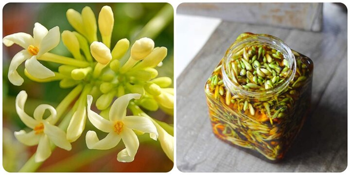 Uống "thần dược truyền miệng", người đàn ông 59 tuổi men gan tăng 1000 lần, bác sĩ chỉ ra nguyên nhân- Ảnh 1.