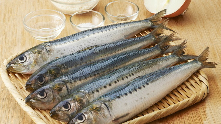 Mỹ đ&aacute;nh gi&aacute; 3 loại c&aacute; n&agrave;y cực tốt, &iacute;t "ngậm" thuỷ ng&acirc;n: Bổ kh&ocirc;ng k&eacute;m c&aacute; hồi gi&aacute; c&ograve;n rẻ hơn, Việt Nam c&oacute; nhiều- Ảnh 2.