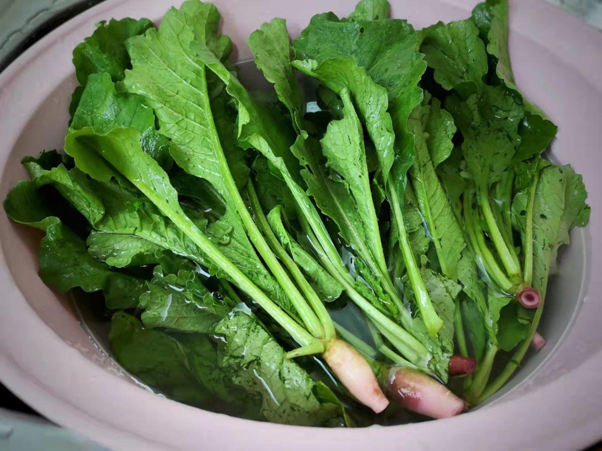 Đừng chỉ ăn củ l&aacute; lo&agrave;i c&acirc;y n&agrave;y như "nh&acirc;n s&acirc;m người ngh&egrave;o", ở qu&ecirc; nh&agrave; n&agrave;o cũng c&oacute;- Ảnh 3.