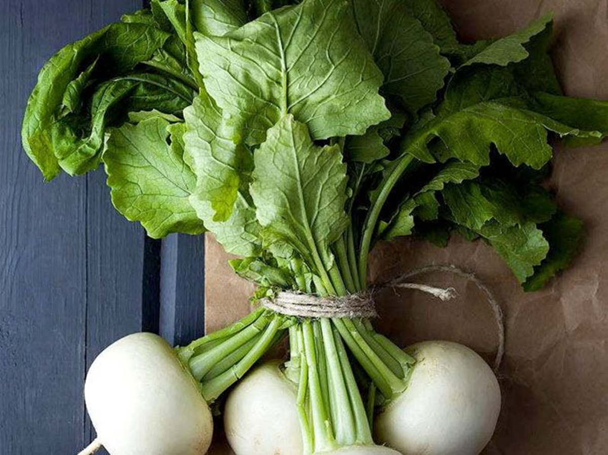 Đừng chỉ ăn củ l&aacute; lo&agrave;i c&acirc;y n&agrave;y như "nh&acirc;n s&acirc;m người ngh&egrave;o", ở qu&ecirc; nh&agrave; n&agrave;o cũng c&oacute;- Ảnh 1.