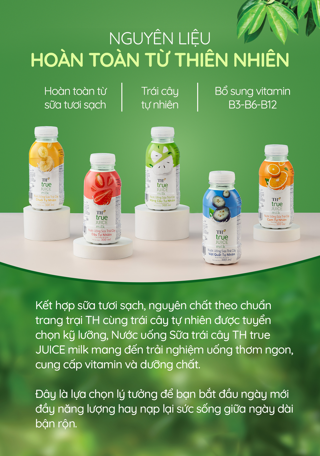 Nước uống Sữa trái cây mát lịm – Thức uống giải nhiệt tiếp năng lượng cho Gen Z- Ảnh 2.
