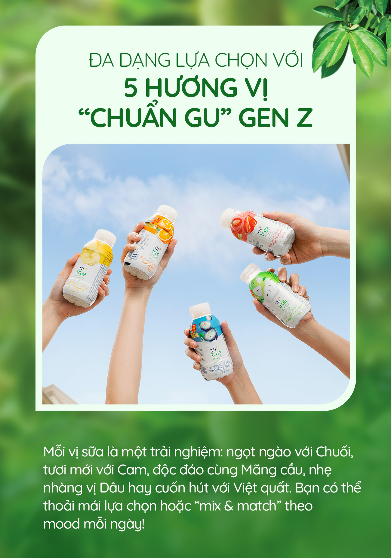 Nước uống Sữa trái cây mát lịm – Thức uống giải nhiệt tiếp năng lượng cho Gen Z- Ảnh 4.