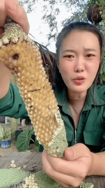 "7 năm chờ mới ăn được một quả": Loại cây nhà giàu trồng làm cảnh nay thành đặc sản mukbang gây sốt MXH- Ảnh 11.