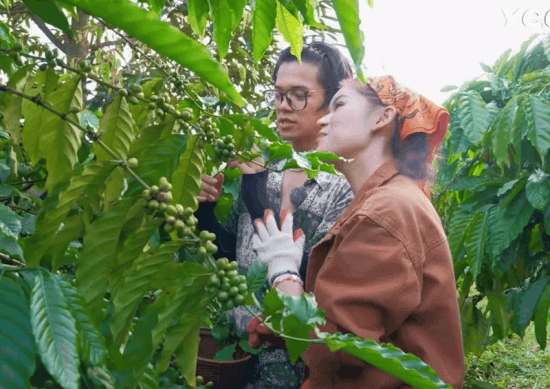 Màn tán gái nghe “ngại hết cả cà phê” của anh Việt kiều Đức và tiểu thư 7.000 tỷ- Ảnh 1.