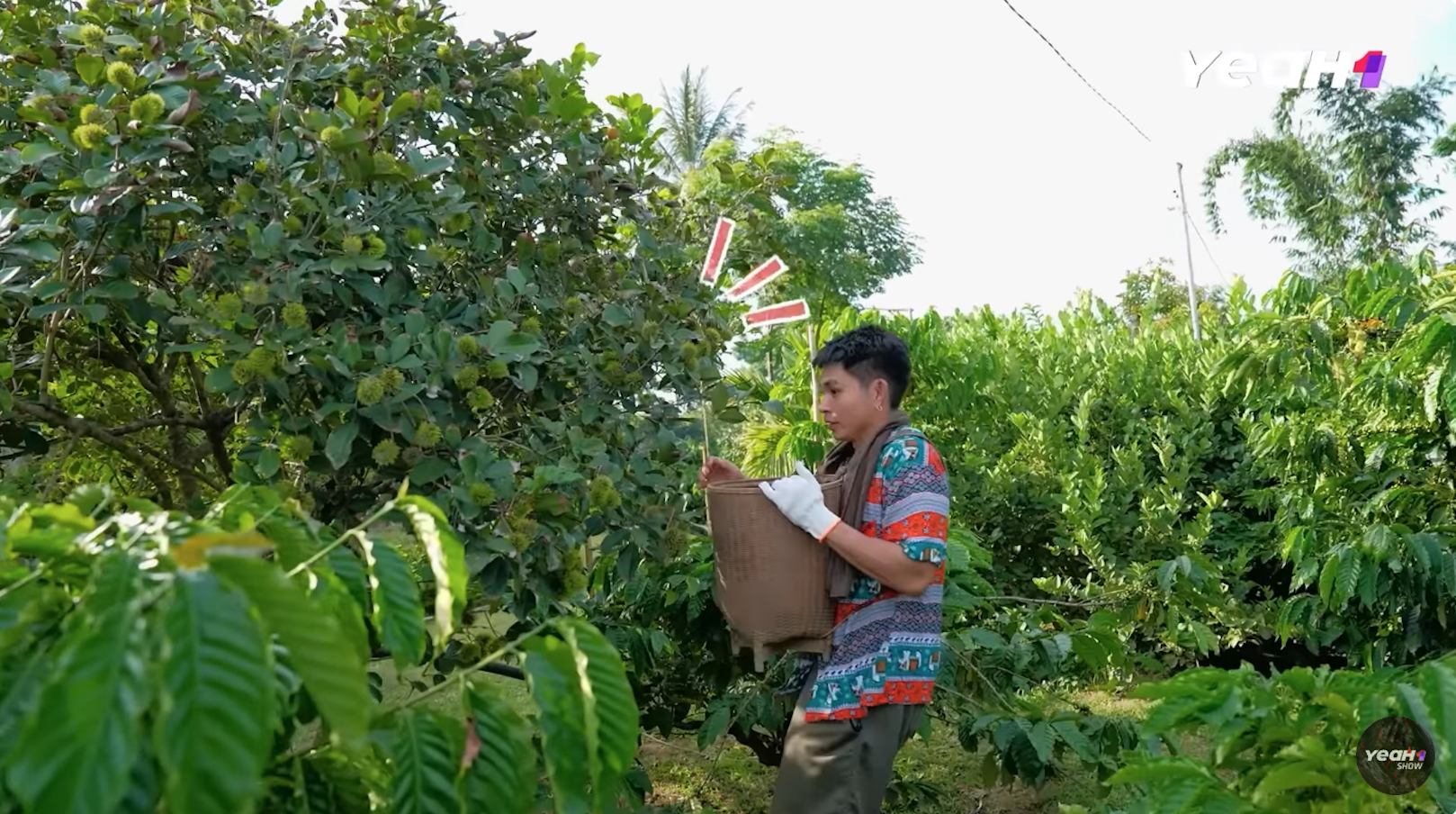 Jun Phạm liên tục đụng độ "kẻ thù không đội trời chung", từ miền Tây đến Tây Nguyên vẫn chưa thoát- Ảnh 4.