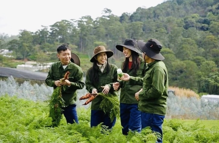 Bị can Lê Thành Công khai đã lên ý tưởng sản xuất kẹo rau củ để dành tặng hoa hậu Thùy Tiên vì Tiên không thích ăn rau- Ảnh 2.