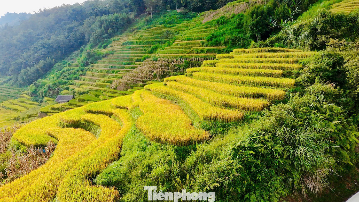Du khách đổ về Y Tý, đắm chìm với ruộng bậc thang đẹp nhất Tây Bắc- Ảnh 6.