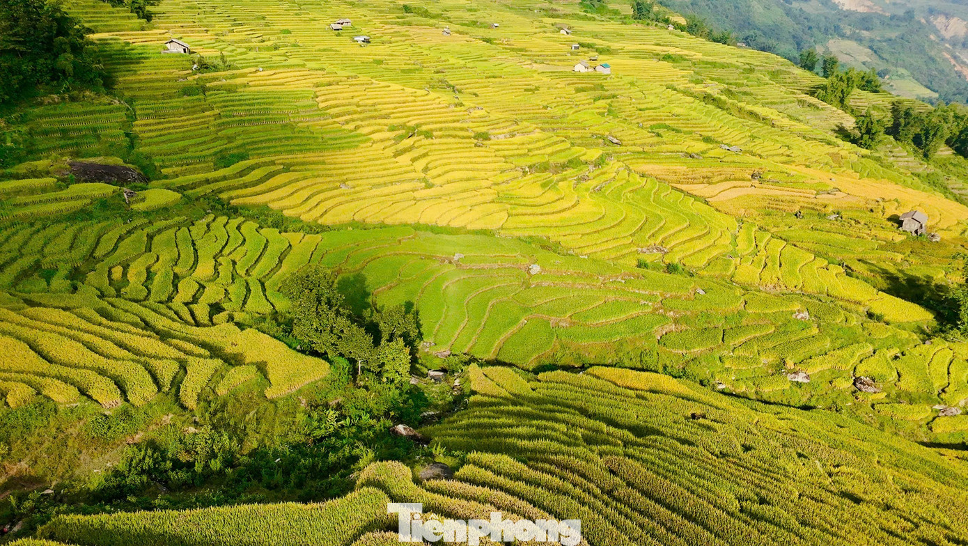 Du khách đổ về Y Tý, đắm chìm với ruộng bậc thang đẹp nhất Tây Bắc- Ảnh 2.