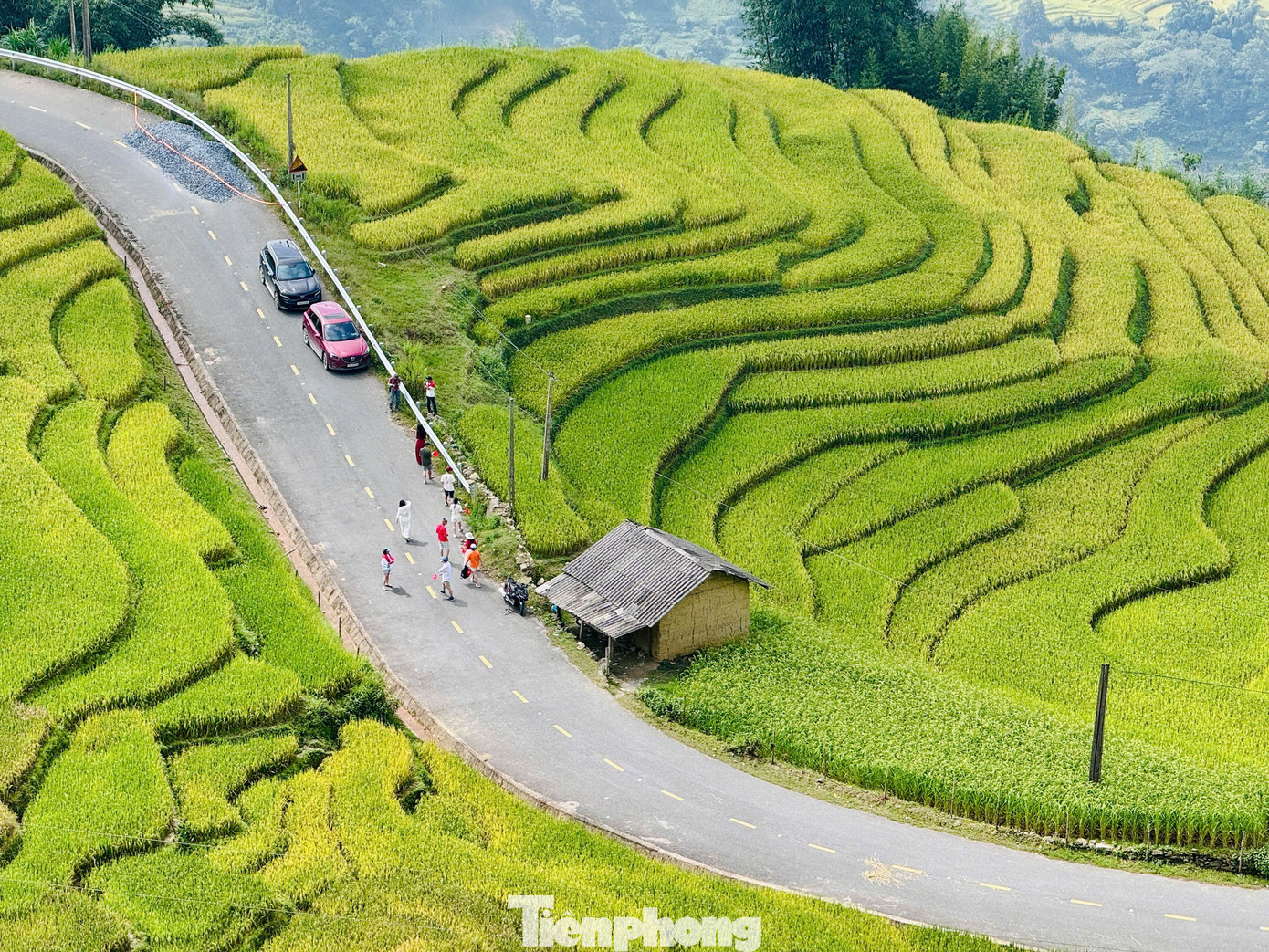 Du khách đổ về Y Tý, đắm chìm với ruộng bậc thang đẹp nhất Tây Bắc- Ảnh 3.