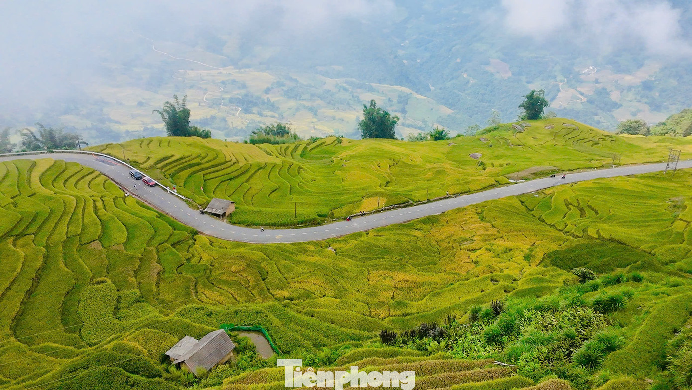 Du khách đổ về Y Tý, đắm chìm với ruộng bậc thang đẹp nhất Tây Bắc- Ảnh 1.
