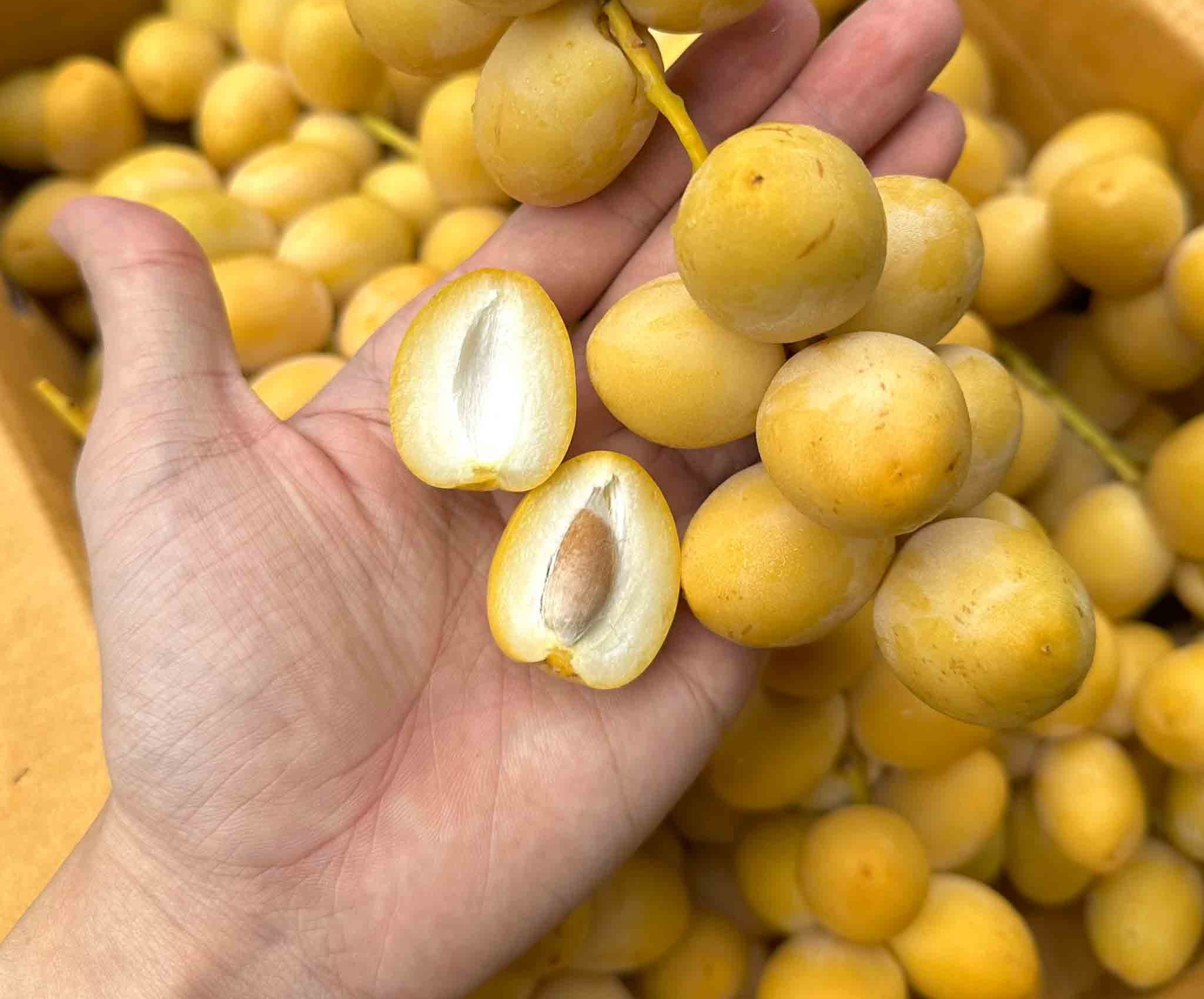 Quả gì 