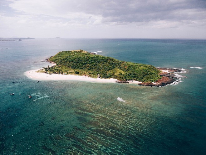 Phát hiện hòn đảo hoang sơ giữa biển miền Trung: Không có nhà dân, cảnh thay đổi theo mùa- Ảnh 7.