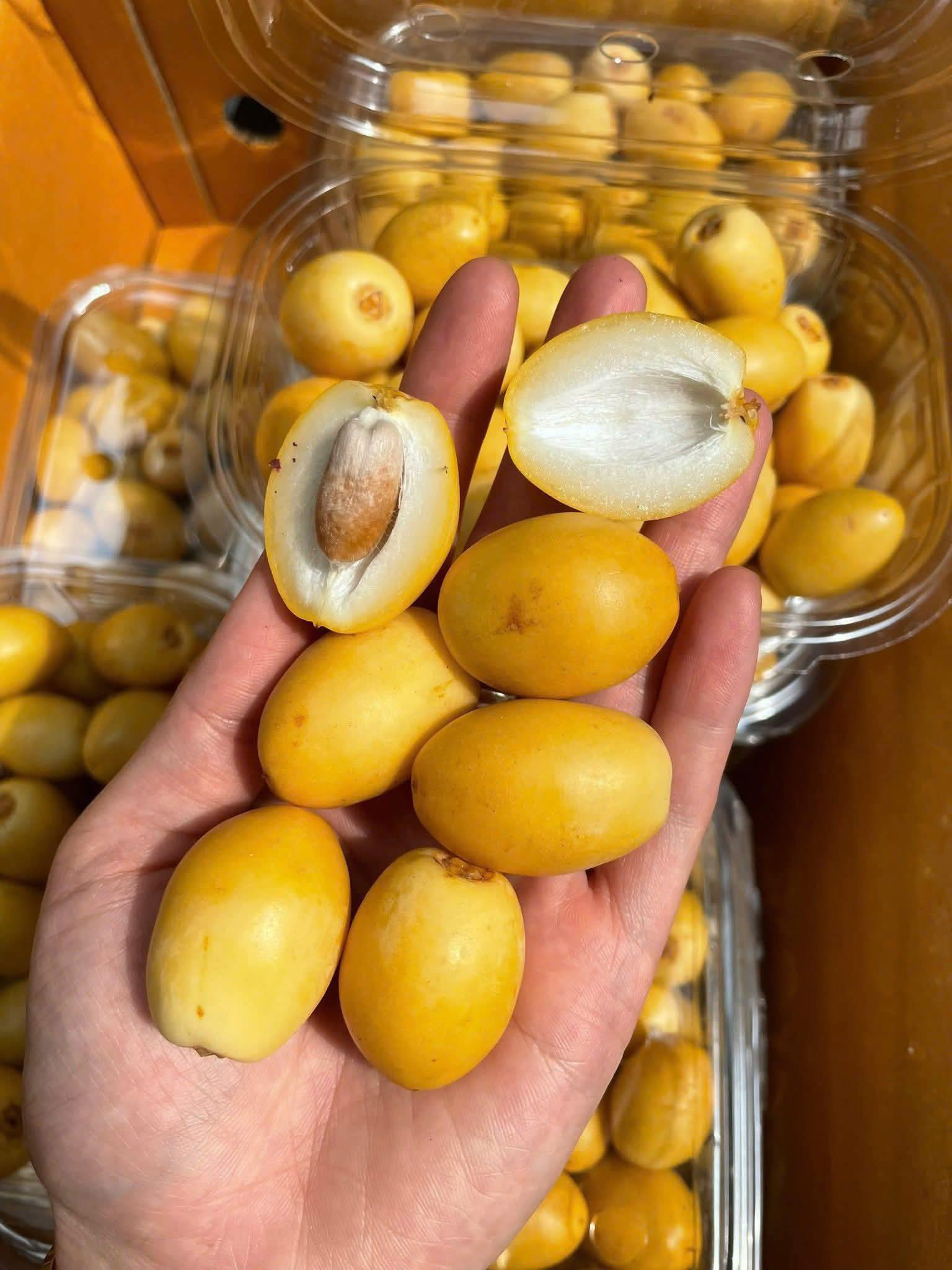 Quả gì 
