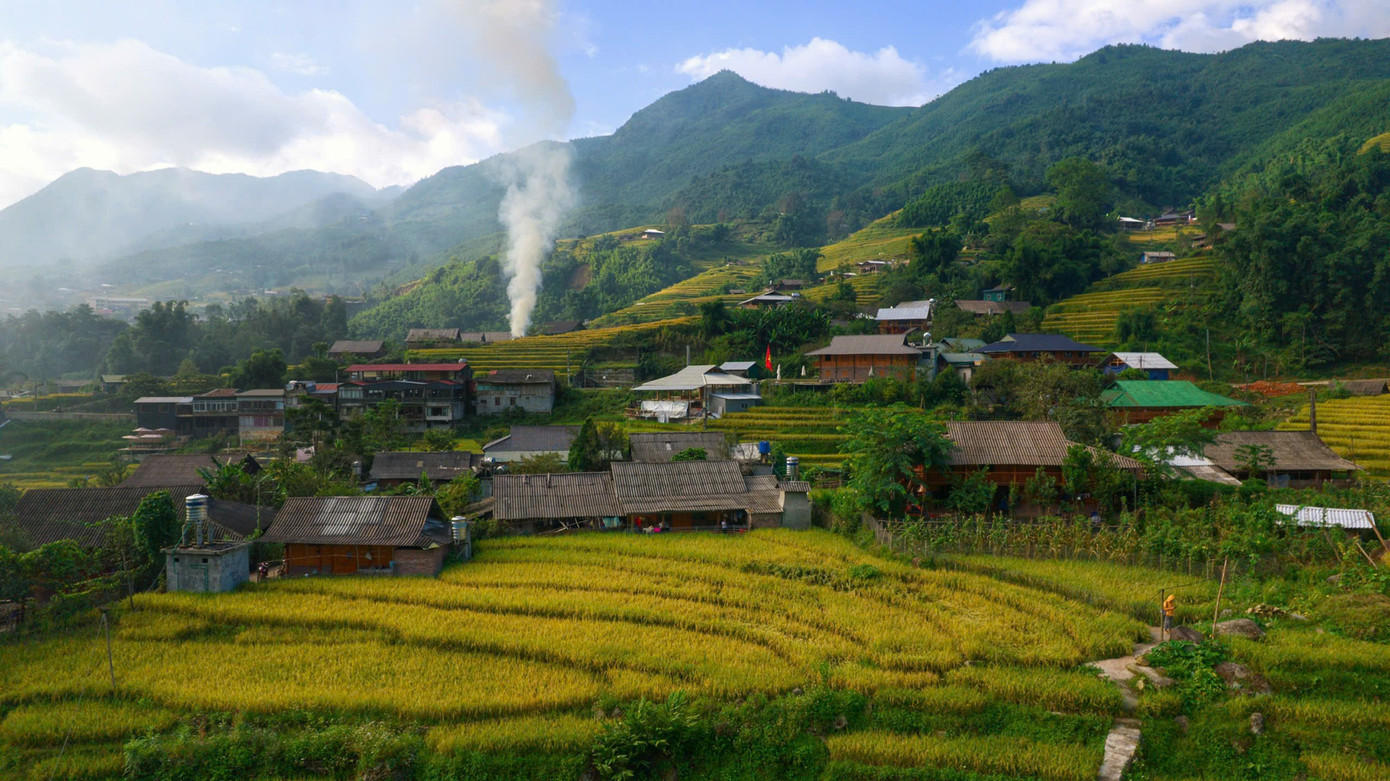 Lúa chín vàng, thơm ngát ở ngôi làng Việt đẹp nhất châu Á- Ảnh 4.