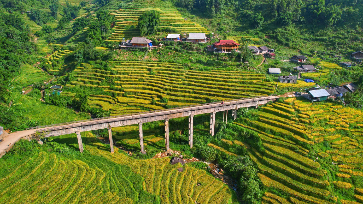 Lúa chín vàng, thơm ngát ở ngôi làng Việt đẹp nhất châu Á- Ảnh 5.