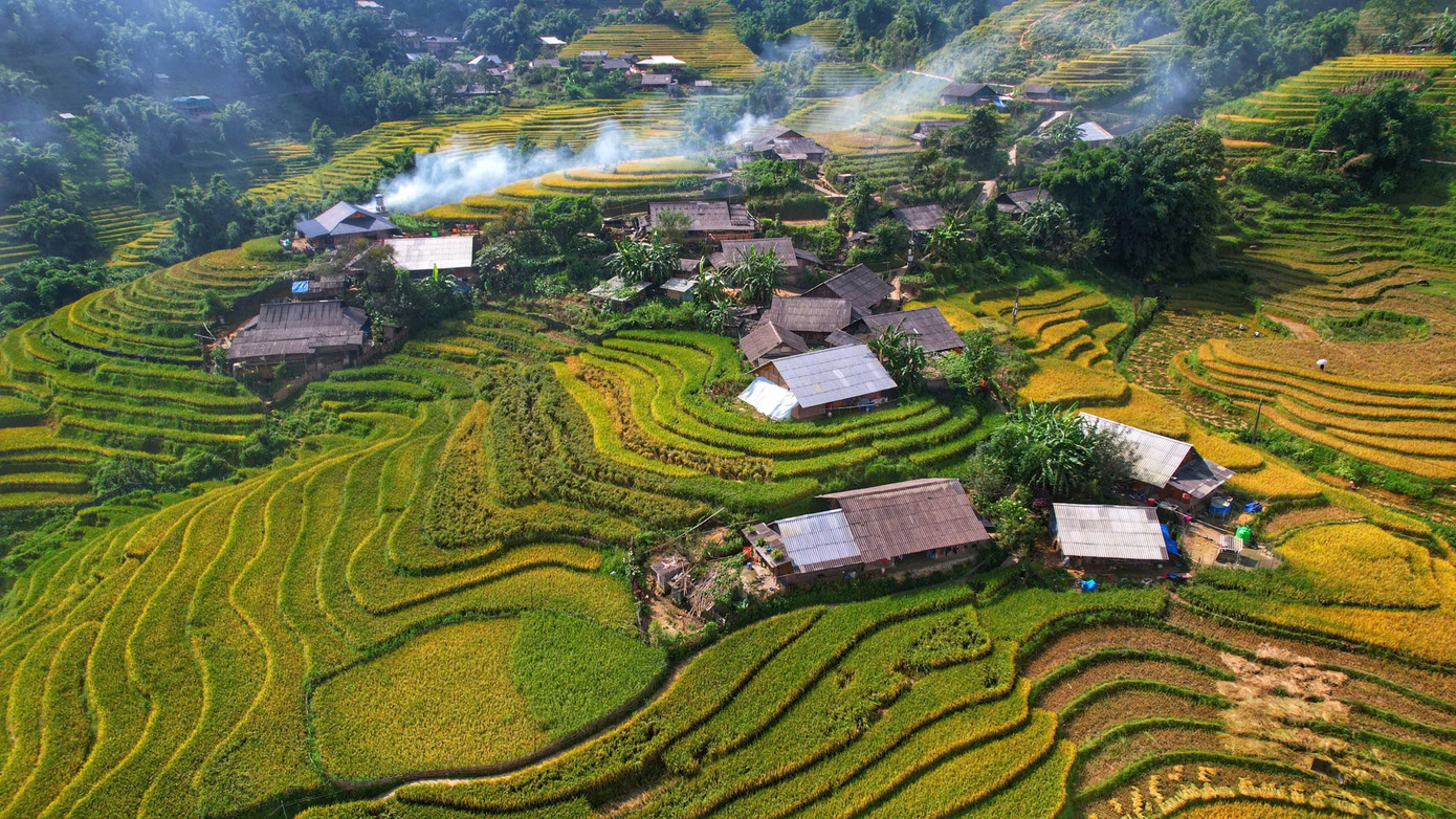 Lúa chín vàng, thơm ngát ở ngôi làng Việt đẹp nhất châu Á- Ảnh 3.