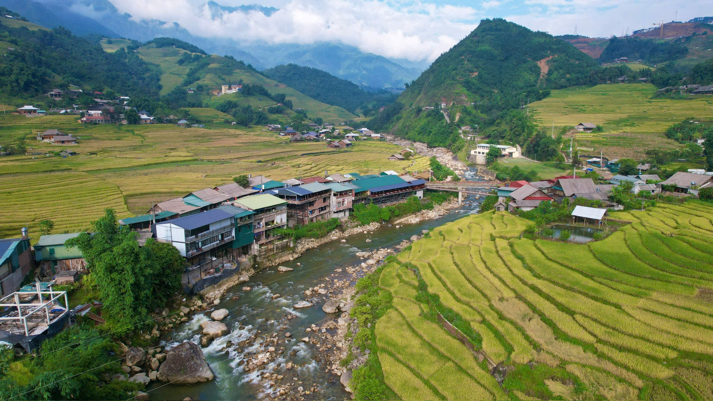 Lúa chín vàng, thơm ngát ở ngôi làng Việt đẹp nhất châu Á- Ảnh 2.