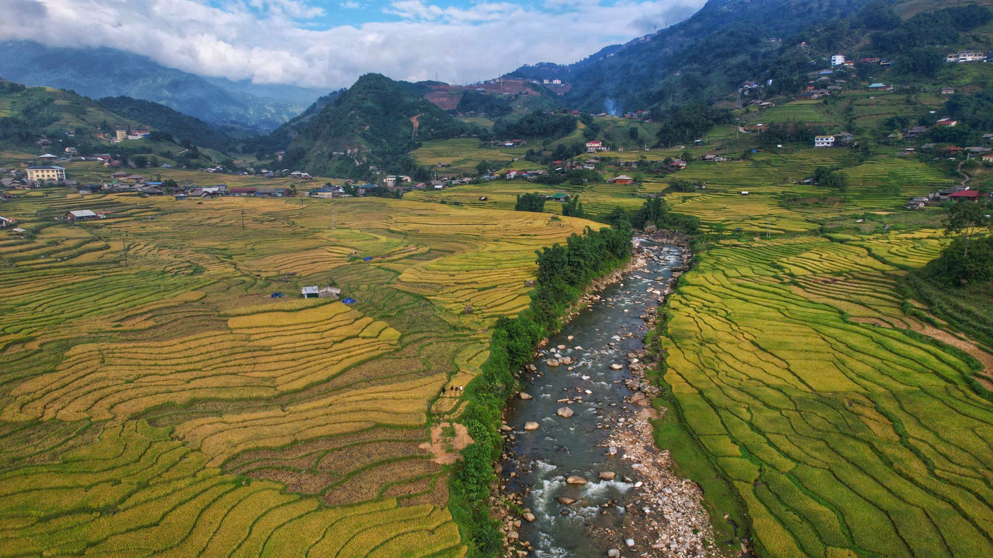 Lúa chín vàng, thơm ngát ở ngôi làng Việt đẹp nhất châu Á- Ảnh 1.