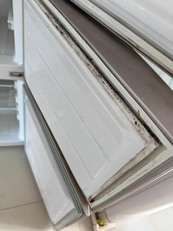 6 “ổ nấm mốc" ẩn trong nhà khiến sức khỏe cả gia đình bị đe dọa, nhiều người vẫn bỏ qua- Ảnh 2.