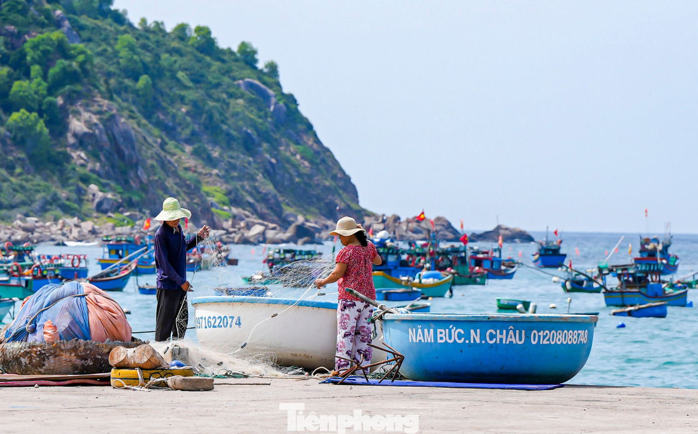 Mục sở thị cuộc sống ở làng chài Cù Lao Xanh giữa biển khơi- Ảnh 4.