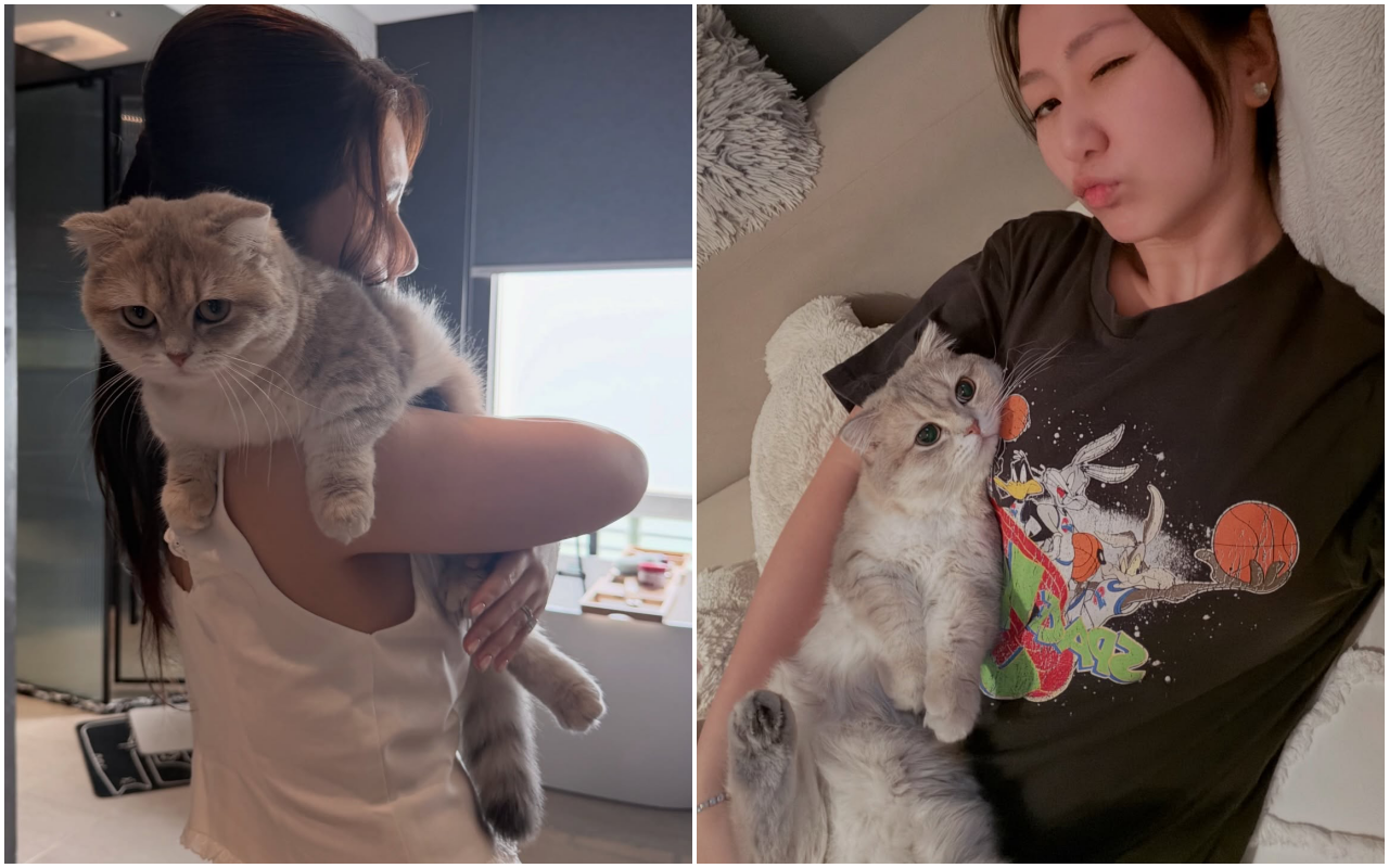 Ngày 1/1/2026 quá đã!- Ảnh 13. Ngày 1/1/2026 quá đã!- Ảnh 13.