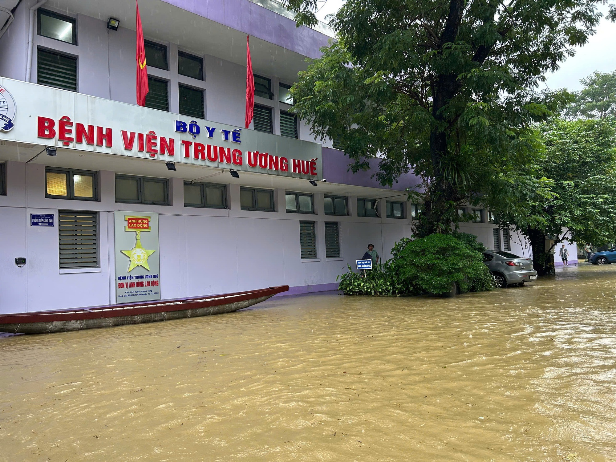 Năm mới 2026 - Chuẩn bị những g&igrave; để sống khỏe hơn?- Ảnh 4.