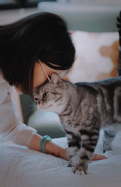 Ngo&agrave;i 50 tuổi, t&ocirc;i hiểu gi&aacute; trị lớn nhất của một người phụ nữ: Một căn nh&agrave; ri&ecirc;ng tự do, vững t&agrave;i ch&iacute;nh v&agrave; trở lại l&agrave; ch&iacute;nh m&igrave;nh- Ảnh 4.