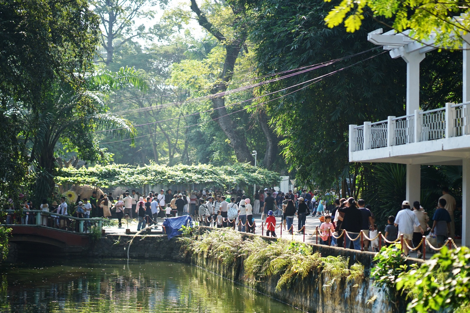 Mới đầu năm 2026 m&agrave; d&acirc;n t&igrave;nh đ&atilde; nhiệt t&igrave;nh "x&ocirc;ng đất" Thảo Cầm Vi&ecirc;n cỡ n&agrave;y!- Ảnh 5.