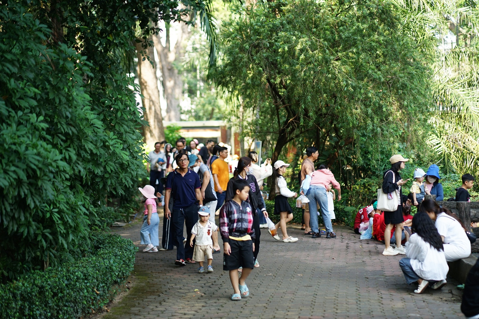 Mới đầu năm 2026 m&agrave; d&acirc;n t&igrave;nh đ&atilde; nhiệt t&igrave;nh "x&ocirc;ng đất" Thảo Cầm Vi&ecirc;n cỡ n&agrave;y!- Ảnh 6.