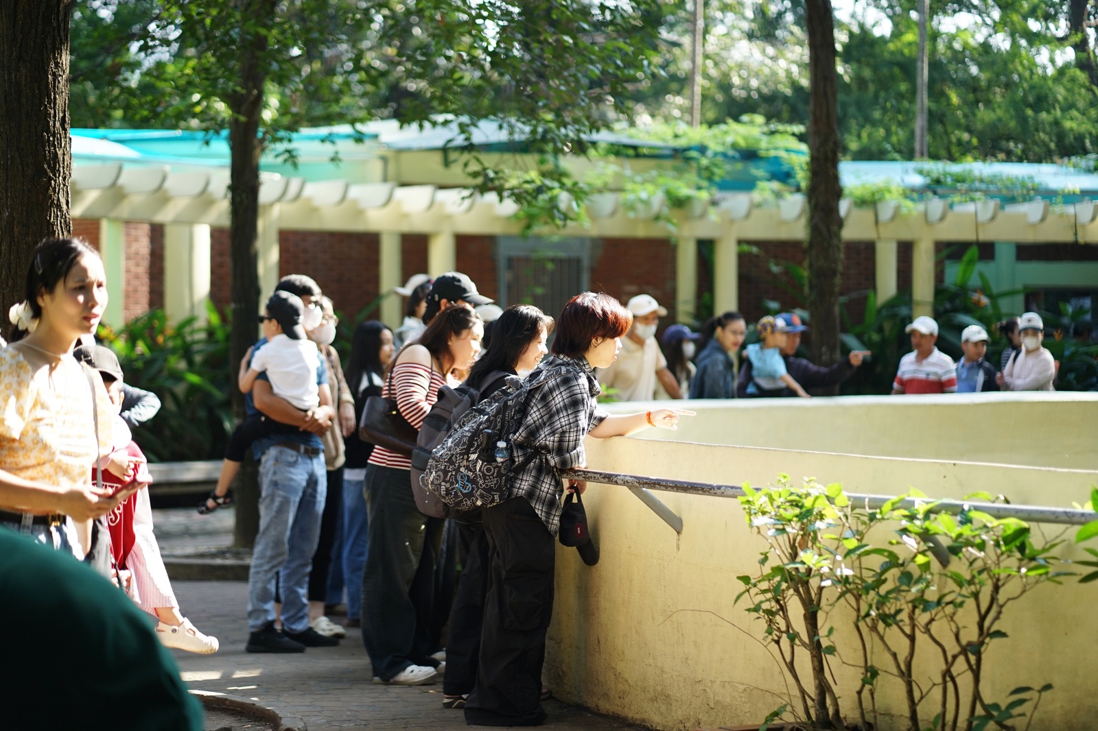 Mới đầu năm 2026 m&agrave; d&acirc;n t&igrave;nh đ&atilde; nhiệt t&igrave;nh "x&ocirc;ng đất" Thảo Cầm Vi&ecirc;n cỡ n&agrave;y!- Ảnh 7.