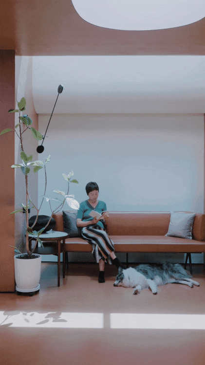 B&aacute;n nh&agrave; phố, cặp vợ chồng trung ni&ecirc;n chuyển ra ngoại &ocirc; ở nh&agrave; 360m&sup2;: Giảm chi ph&iacute; sống, l&agrave;m 4 giờ/ng&agrave;y vẫn đủ đầy- Ảnh 20.